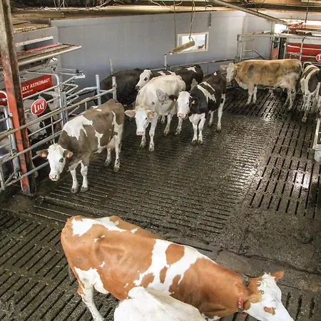 Hébergement de vacances A La Ferme *